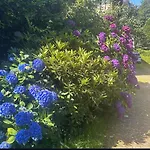 Le Galet Bleu Entre Honfleur Et Etretat *