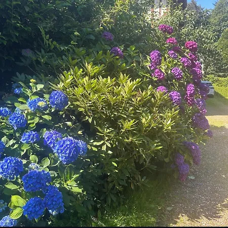 Le Galet Bleu Entre Honfleur Et Etretat *